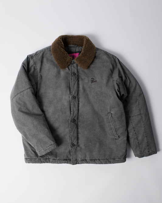Darwin takes flight jacket
